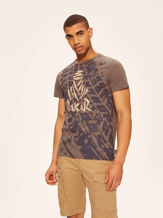 Men's printed T-shirt DKR V 0622 S1831 - grey