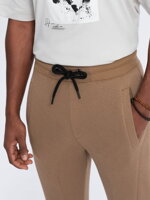 Men's sweatpants P867 - brown