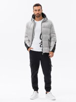 Men's winter jacket C503 - light grey