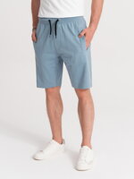 Men's sweatshorts W291 - light blue