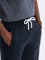 Men's sweatpants P867 - navy