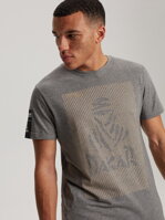 Men's printed T-shirt DKR D 0823 S1824 - grey melange