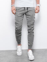 Men's sweatpants P867 - grey