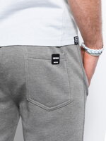 Men's sweatpants P867 - grey