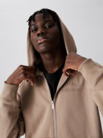 Men's sweatshirt ATH ZH 223 B1573 - mokka