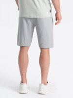 Men's sweatshorts W291 - grey