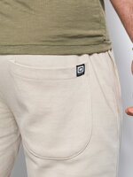 Men's sweatpants P948 - light grey
